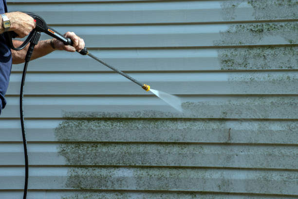 Best Graffiti Removal Services in South Amherst, OH